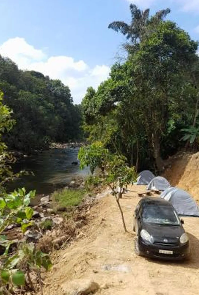 2nd-camp-lake-fish-feeding