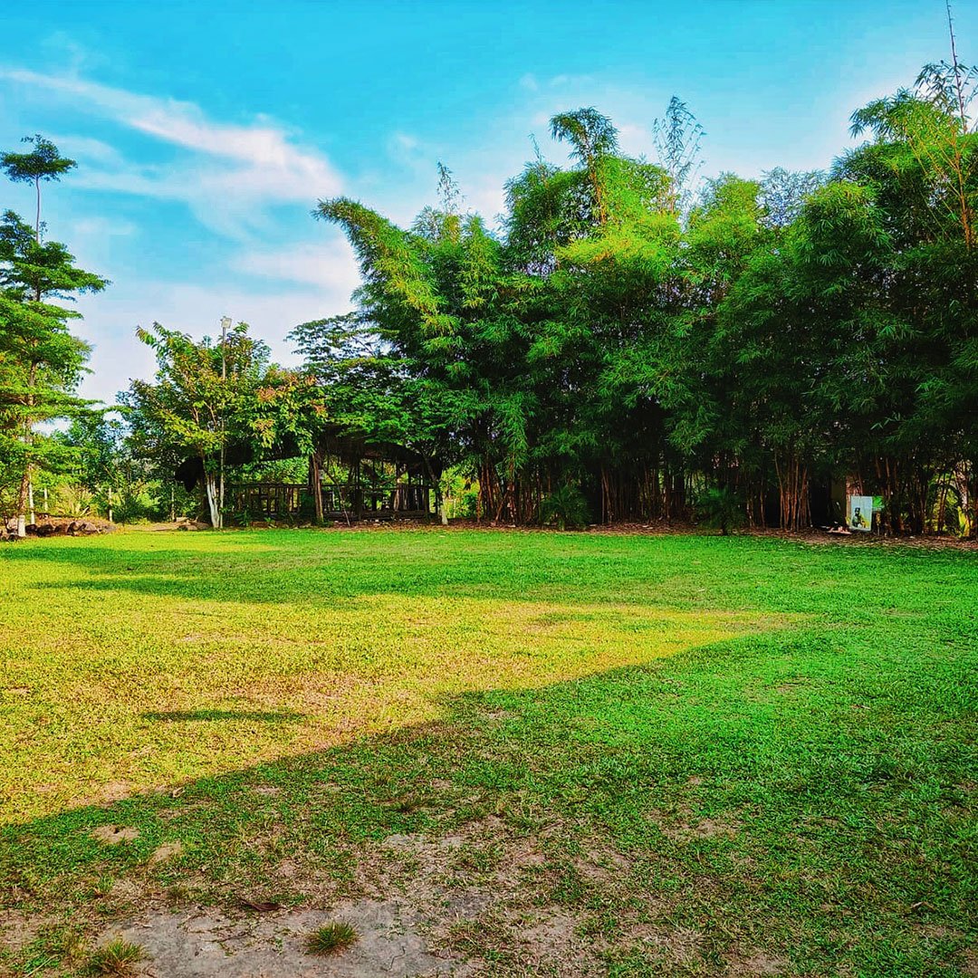 activity-gallery-2