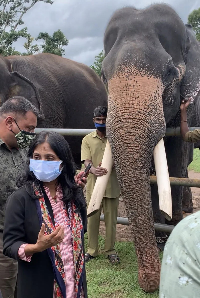 Mathigodu-Elephant-Camp