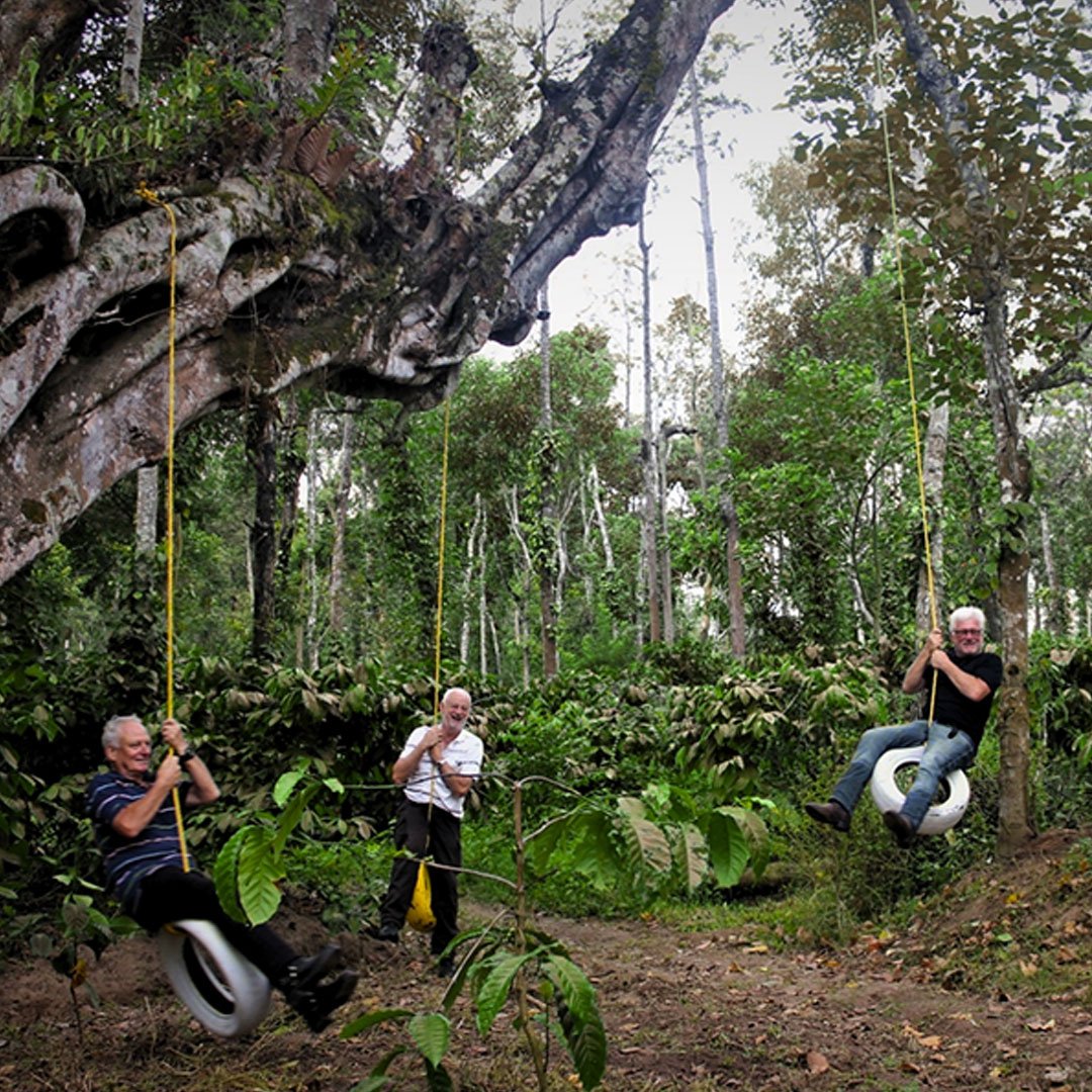 plantation-walk-gallery-1