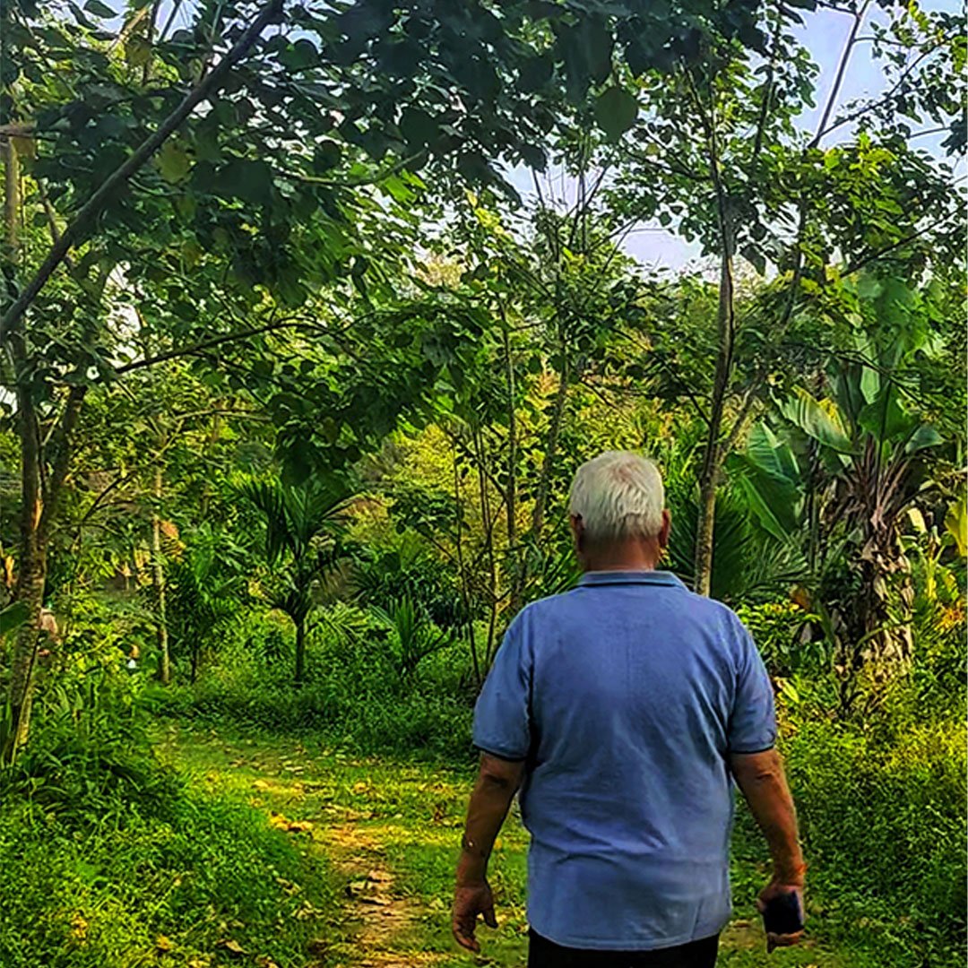 plantation-walk-gallery-2