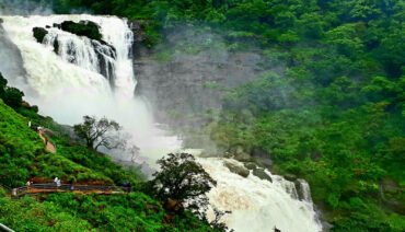 coorg in mansoon