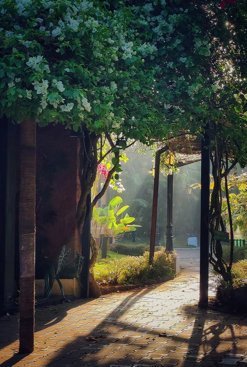 coorg-best-resort-gallery-pic-10