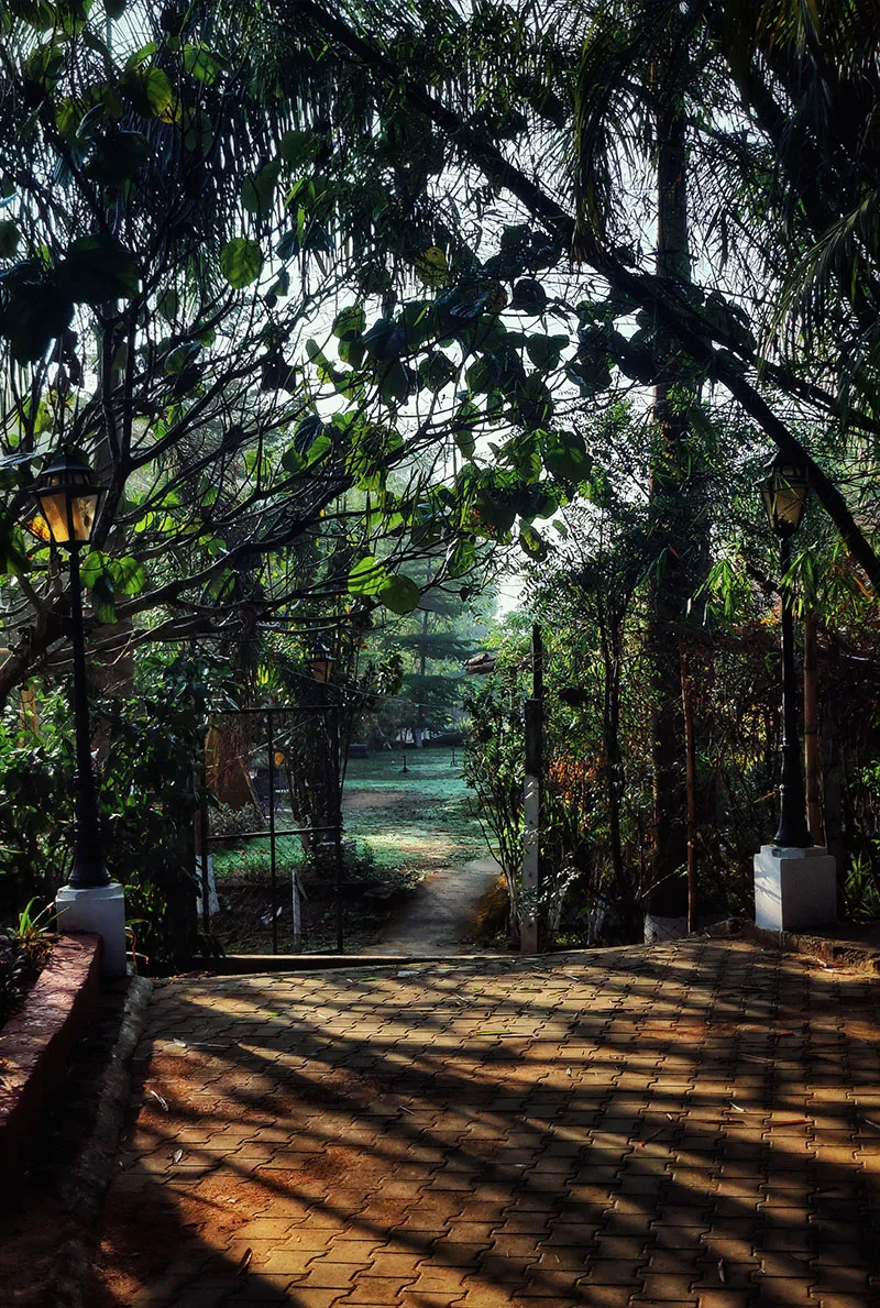 coorg-best-resort-gallery-pic-9