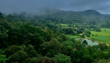 Top 10 FAQs About Planning A Trip To Coorg 370x212