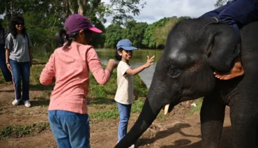How To Enjoy Coorg In Summer 370x212