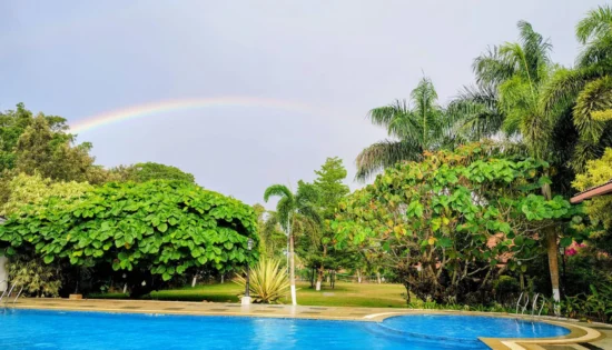 How To Book A Resort In Coorg A Complete Guide 1 550x315